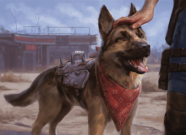 Fetch!